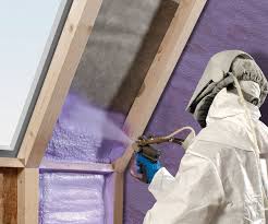 Best Eco-Friendly Insulation Solutions  in Pacolet, SC